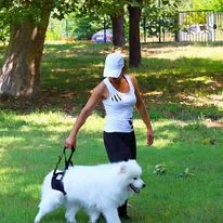 Hundetragehilfe hinten XL – Nature Pet