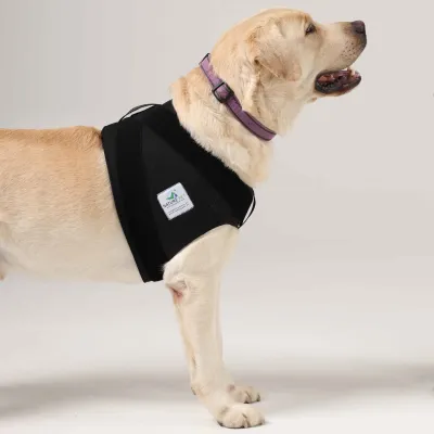 Hundebandage Schulter XS – Nature Pet