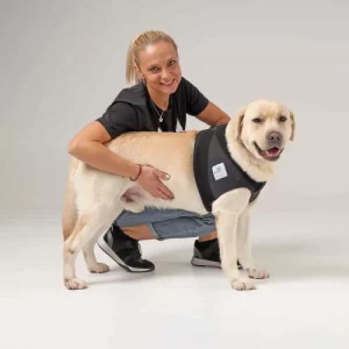 Hundebandage Schulter S – Nature Pet