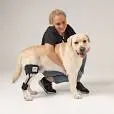 Hundebandage Knie M – Nature Pet