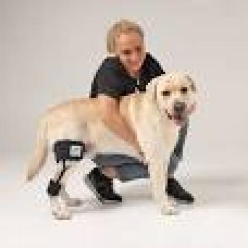 Hundebandage Knie S – Nature Pet