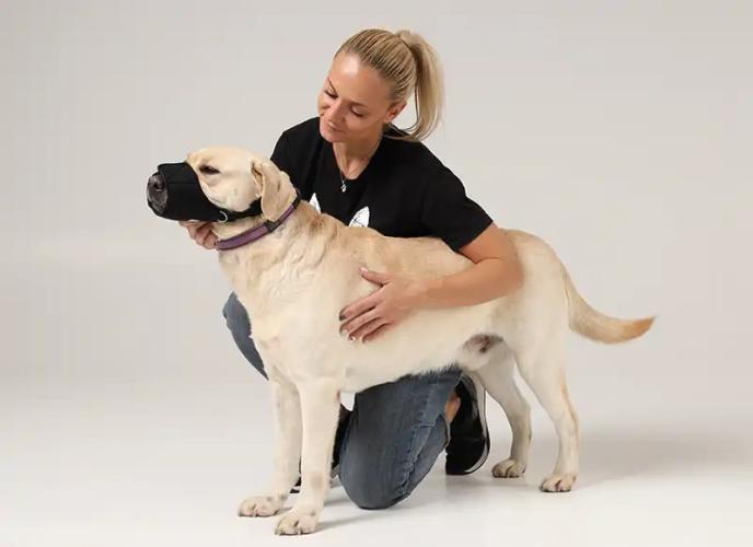 Schnellverschluss Soft Maulkorb – Nature Pet – L