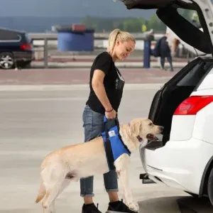 Hundetragehilfe vorne L – Nature Pet