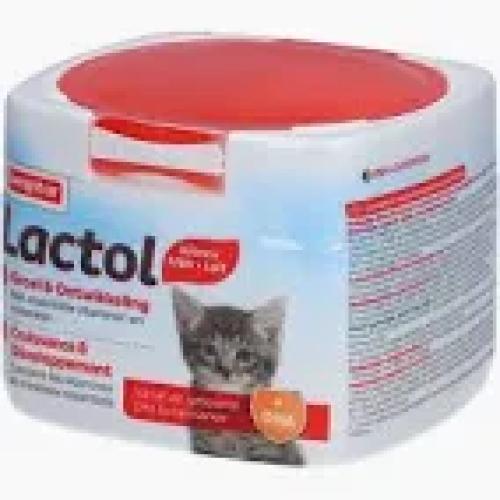 Kätzchen-Aufzuchtmilch Lactol Kitty Milk 250 g – Beaphar