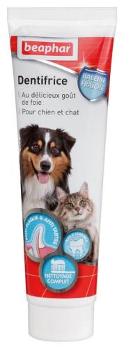 Zahnpasta 100 g – Beaphar