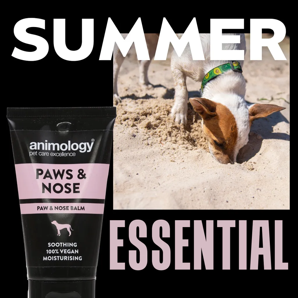 Pfoten-/Nasenpflege Animology Paws & Nose Balm 50 ml