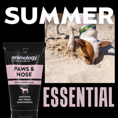 Pfoten-/Nasenpflege Animology Paws & Nose Balm 50 ml