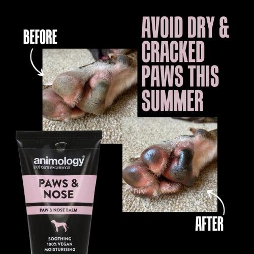 Pfoten-/Nasenpflege Animology Paws & Nose Balm 50 ml