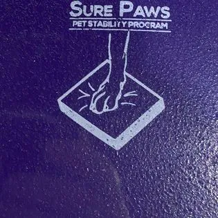 Balance-Pad SURE PAWS® Hunde Balance Pads - small