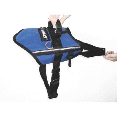 Therapiegeschirr Safety Harness XXS – FitPAWS