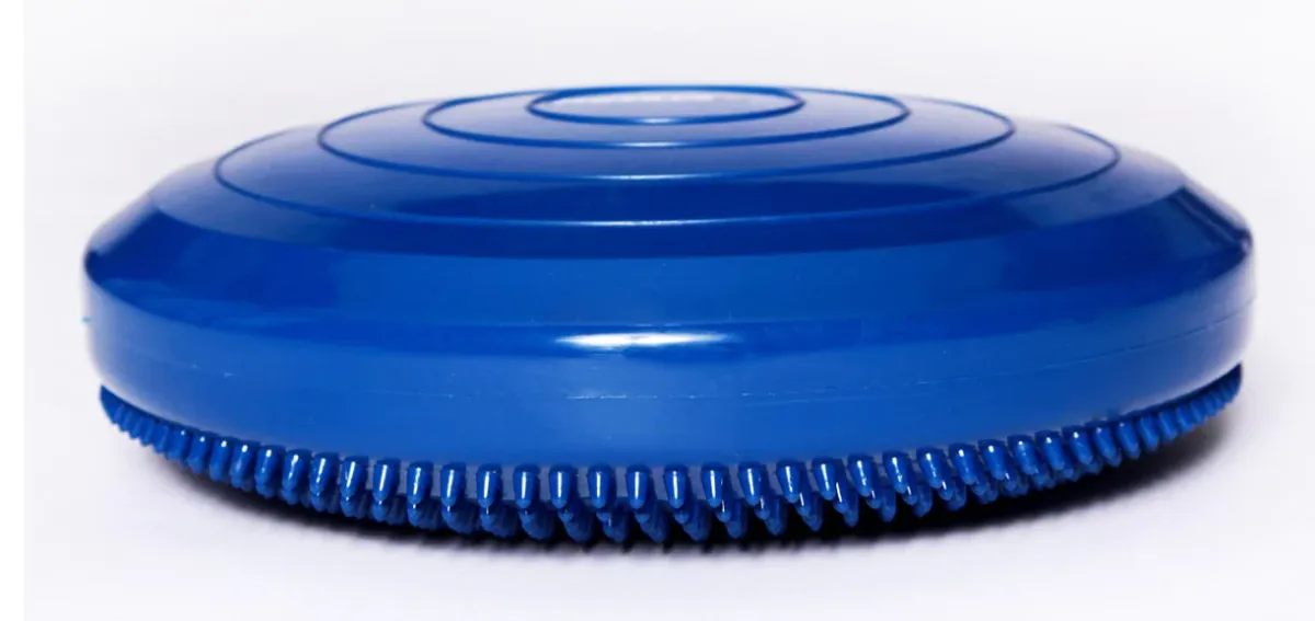 Balancekissen Balance Disc 56 cm razzleberry – FitPAWS