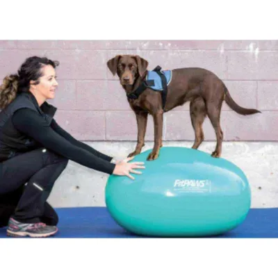 Balancegerät Egg grün – FitPAWS