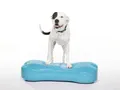 Balancekissen Giant K9FITbone 89 × 38 × 18 cm aqua – FitPAWS