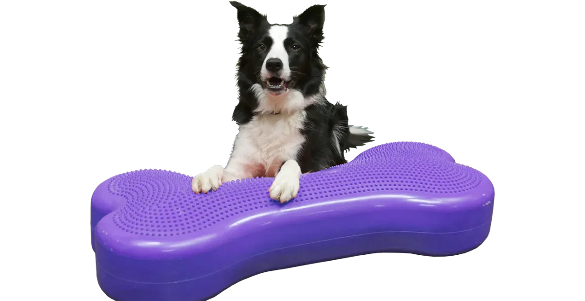 Balancekissen Giant K9FITbone 89 × 38 × 18 cm aqua – FitPAWS