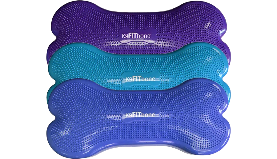 Balancekissen Giant K9FITbone 89 × 38 × 18 cm aqua – FitPAWS