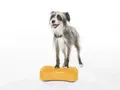Balancekissen K9FITbone Mini 27 × 20 × 12 cm – FitPAWS