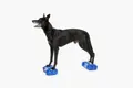 Balancekissen K9FITbone Mini 27 × 20 × 12 cm – FitPAWS