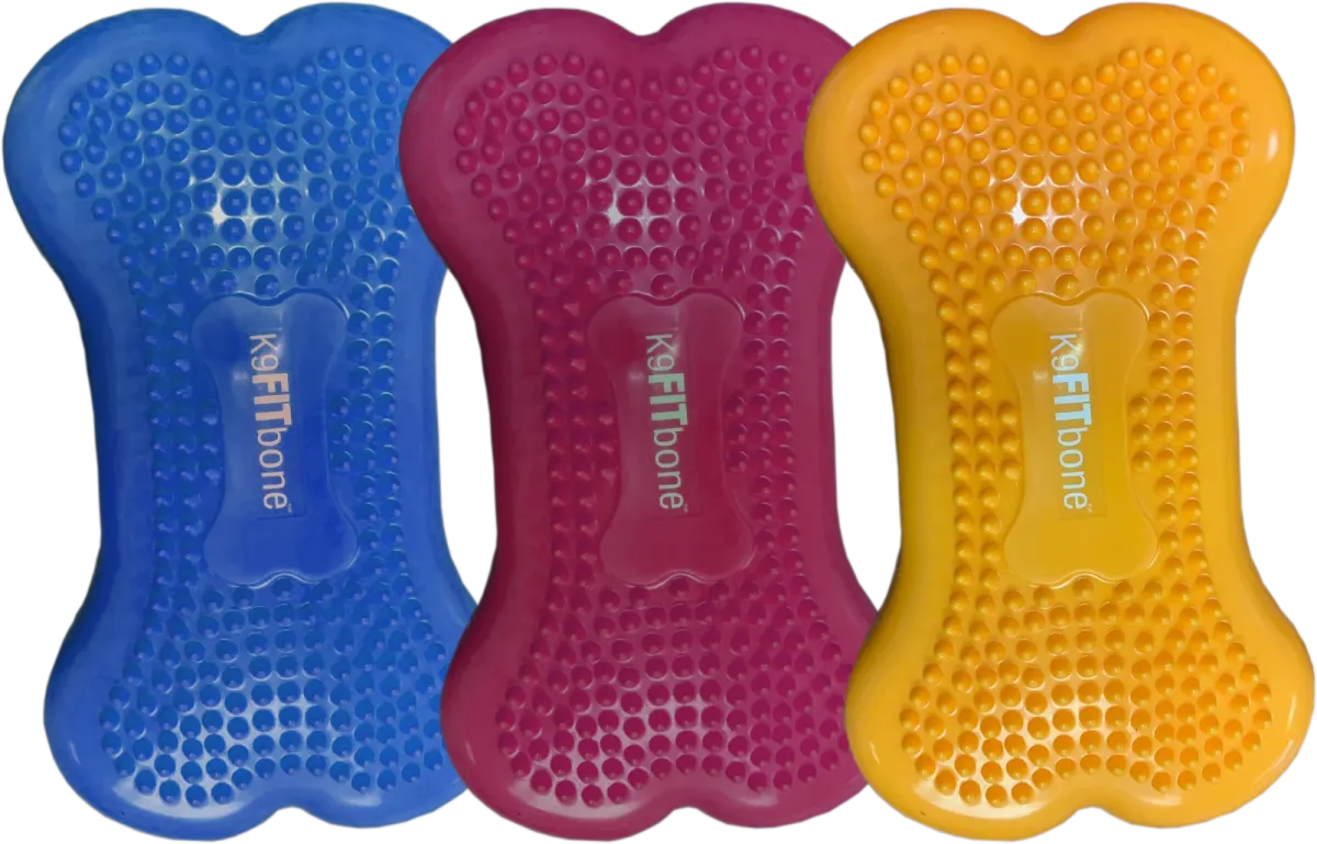 Balancekissen K9FITbone Mini 27 × 20 × 12 cm – FitPAWS