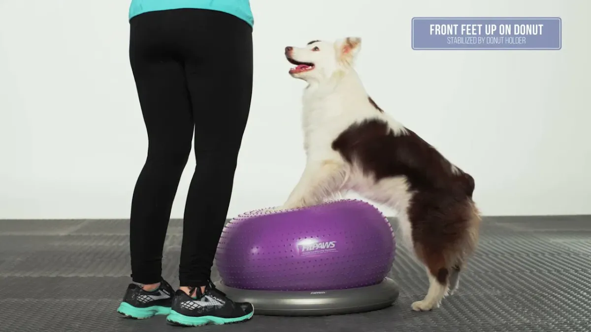 Balancegerät TRAX Donut 33 × 55 cm violett – FitPAWS
