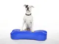 Balancekissen Giant K9FITbone 89 × 38 × 18 cm blau – FitPAWS