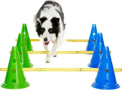 Agility-Trainingsset für Hunde – FitPAWS