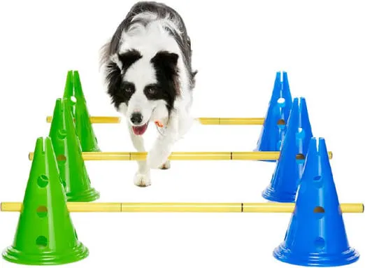 Agility-Trainingsset für Hunde – FitPAWS