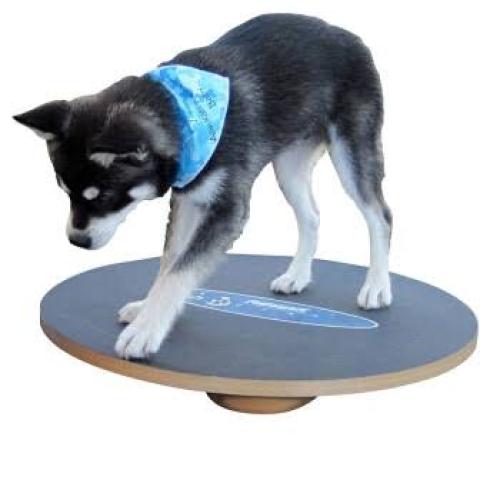 Wackelbrett Wobble Board – FitPAWS