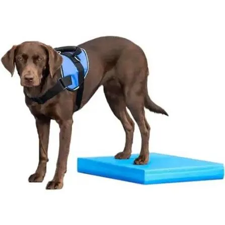 Balancekissen Balance Pad – FitPAWS