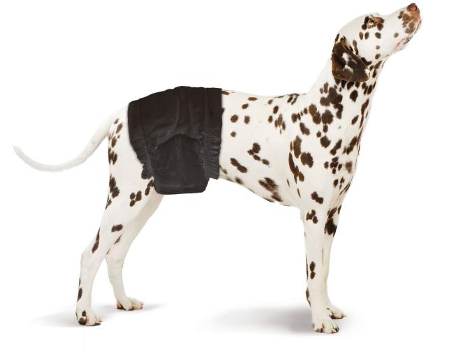 Hundewindel Rüdenwindeln M-L schwarz 9er Pack 46–60 cm – swisspet
