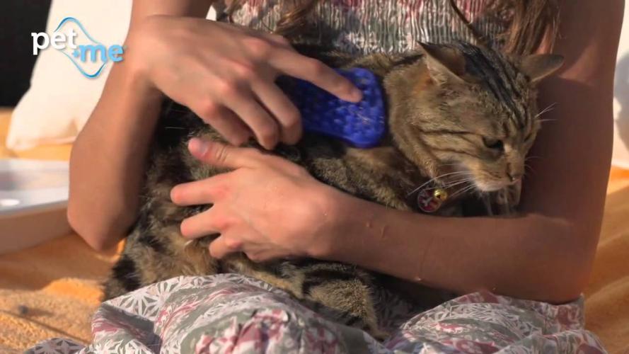 Pet+Me Dog Bürste Langhaar Rot