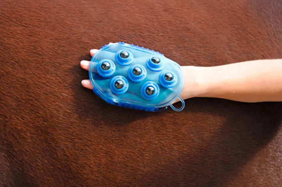 Bürste magnet massage Blau