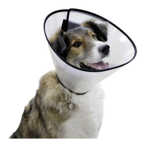 Halskrause Hunde-Halskrause, 31-40cm 15cm – Kerbl