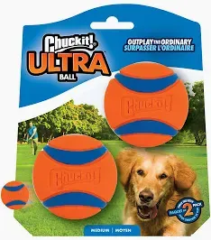 Chuckit! Ultra Ball M 2er Pack robuster Hundeball