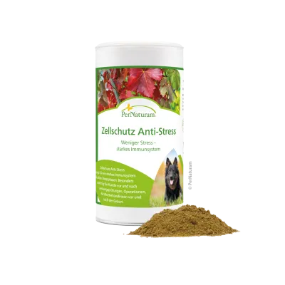 Ergänzungsfutter Hund Zellschutz Anti-Stress 500 g – PerNaturam