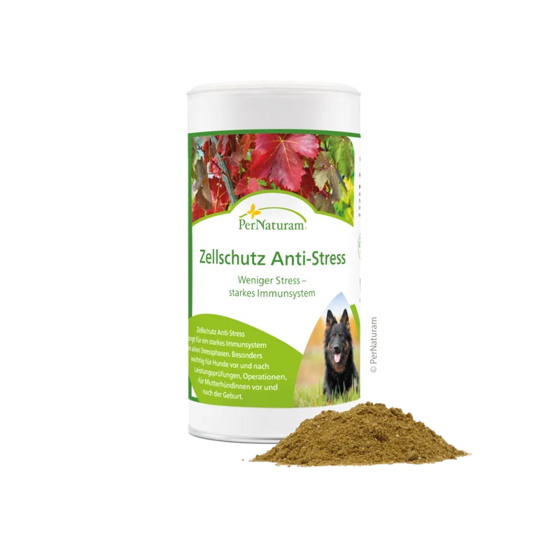 Ergänzungsfutter Hund Zellschutz Anti-Stress 500 g – PerNaturam
