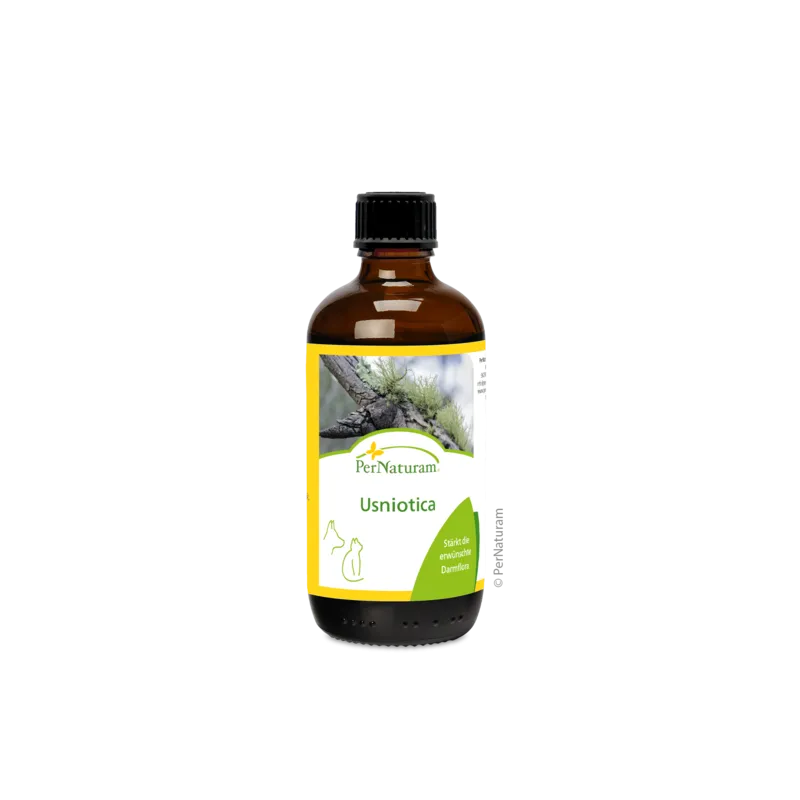 Ergänzungsfutter Hund & Katze Usniotica 100 ml – PerNaturam