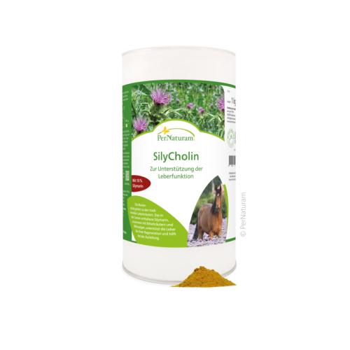 Ergänzungsfutter Pferd SilyCholin 1 kg – PerNaturam