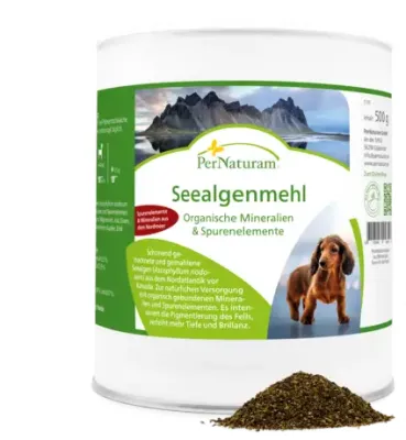 Ergänzungsfutter Hund Seealgenmehl 500 g – Naturreine Braunalgen für Hunde – PerNaturam