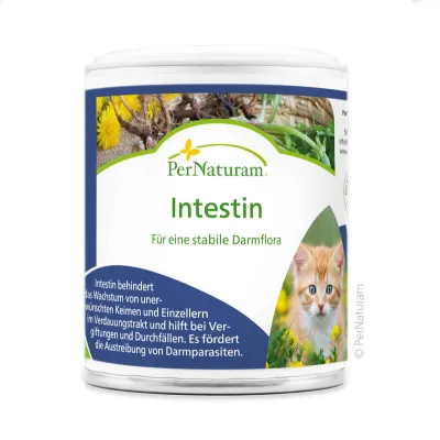 Ergänzungsfutter Hund Intestin 50 g – PerNaturam