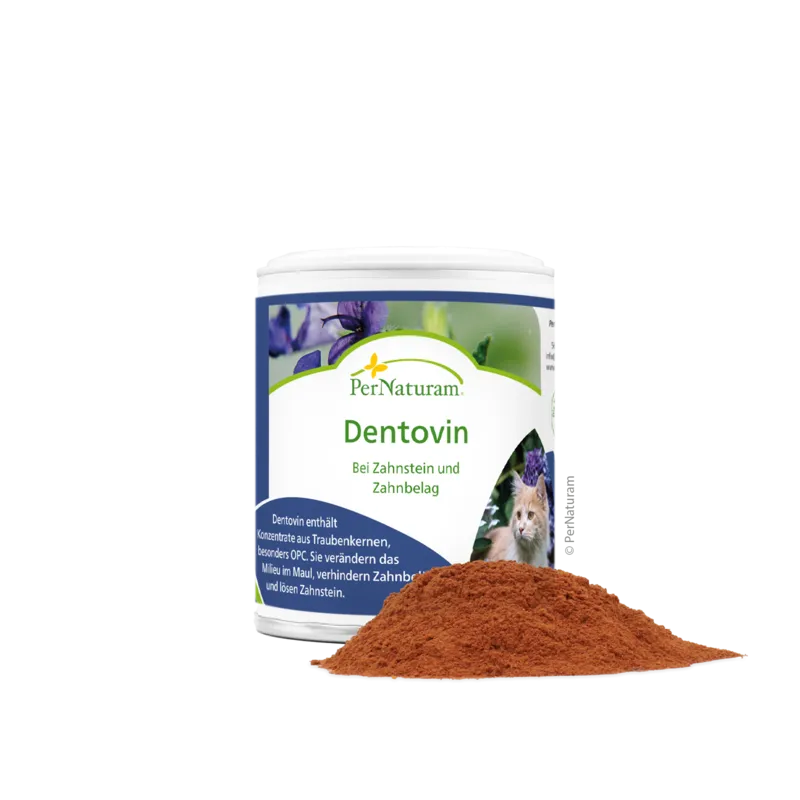 Nahrungsergänzung Katze Dentovin (50 g) 50 g – PerNaturam