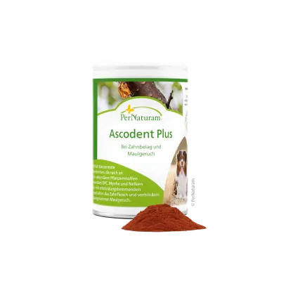 Ergänzungsfutter Hund Ascodent Plus 100 g – PerNaturam