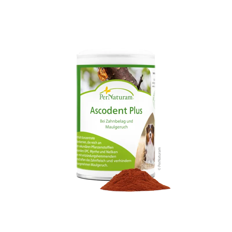 Ergänzungsfutter Hund Ascodent Plus 100 g – PerNaturam