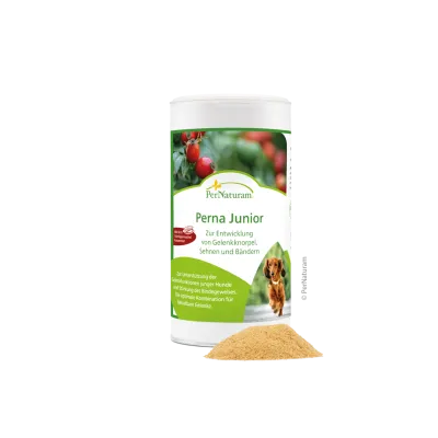 Ergänzungsfutter Hund Perna Junior 250 g – PerNaturam