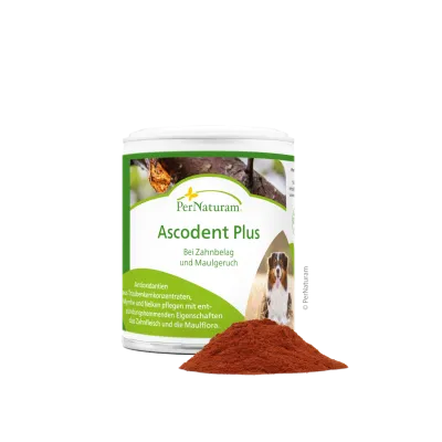 Ergänzungsfutter Hund Ascodent Plus 50 g – Zahnpflege für Hunde – PerNaturam
