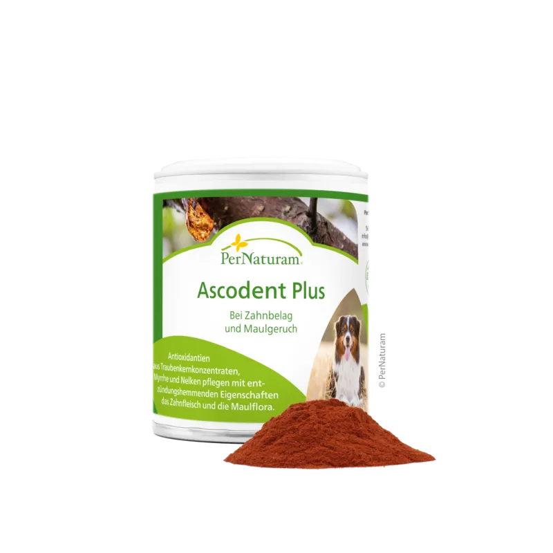 Ergänzungsfutter Hund Ascodent Plus 50 g – Zahnpflege für Hunde – PerNaturam