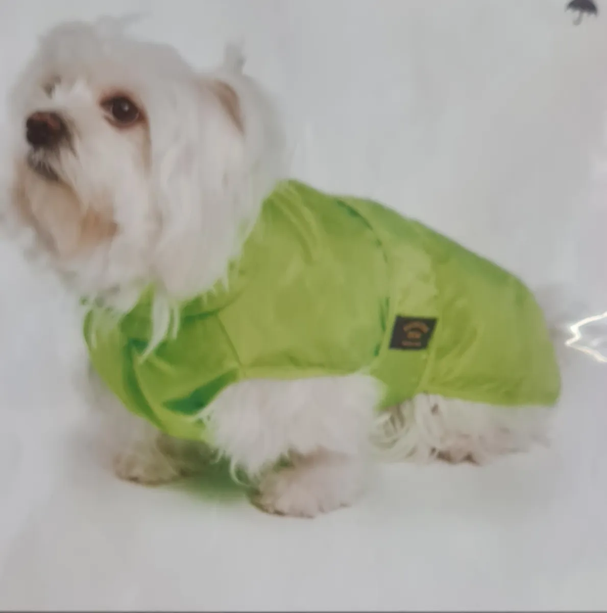 Doppelter nylon Regenmantel Fashion Dog grün Gr. 43
