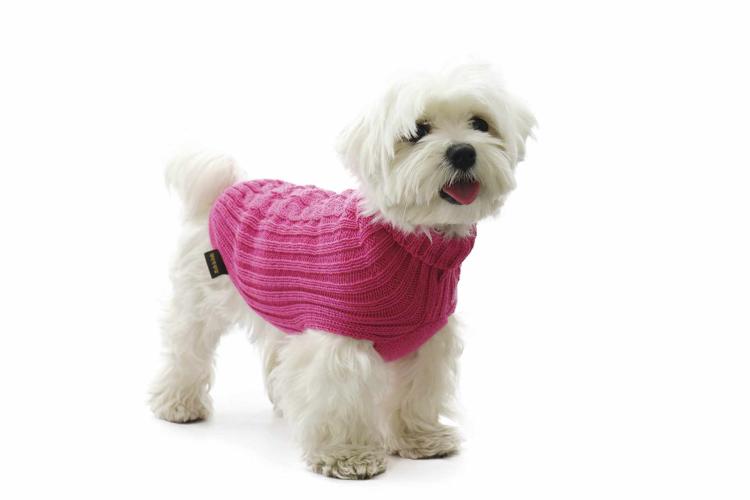 Hundestrickpullover fucsia Grösse 55- Zopf Merinowolle Acryl- Fashion Dog