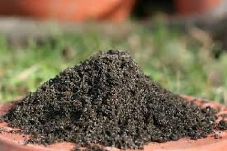 Terrabloom Peat Moss – 12 L Torfsubstrat