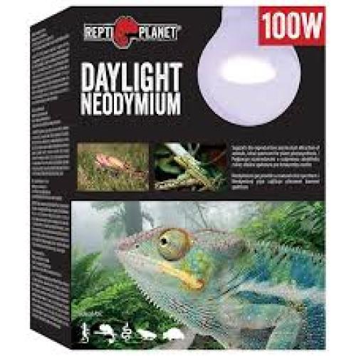 Neodymium Daylight S 100W Komodo