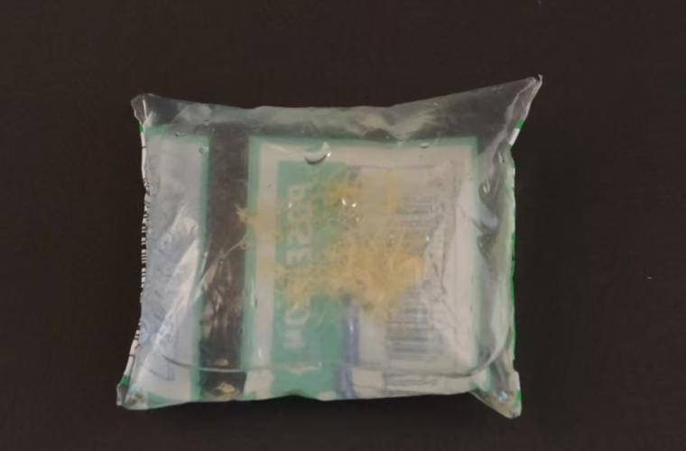 Lebendfutter: Enchytraeen 90ml lebend in PE-Beutel